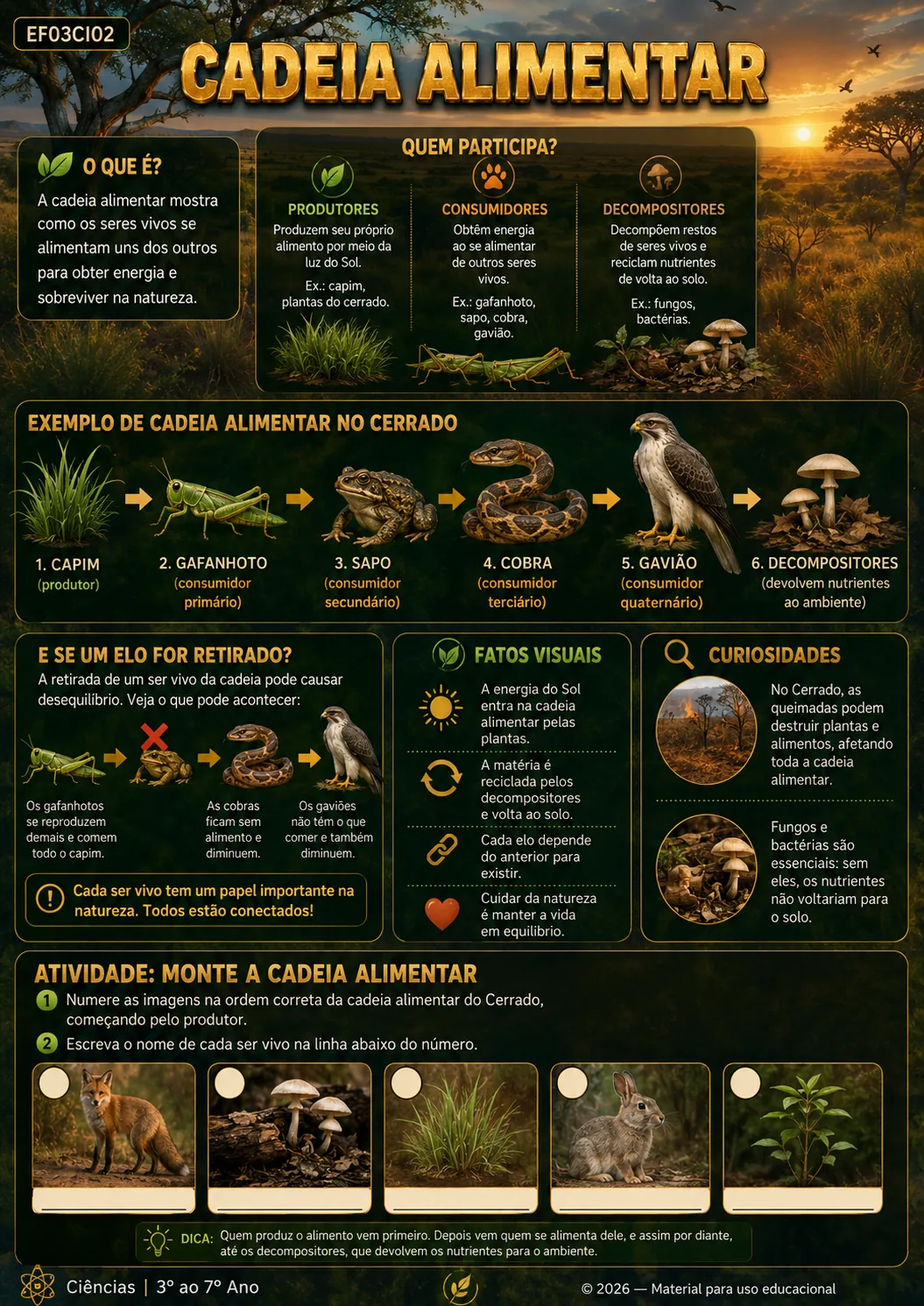 Mapa visual de Ciências: CADEIA ALIMENTAR