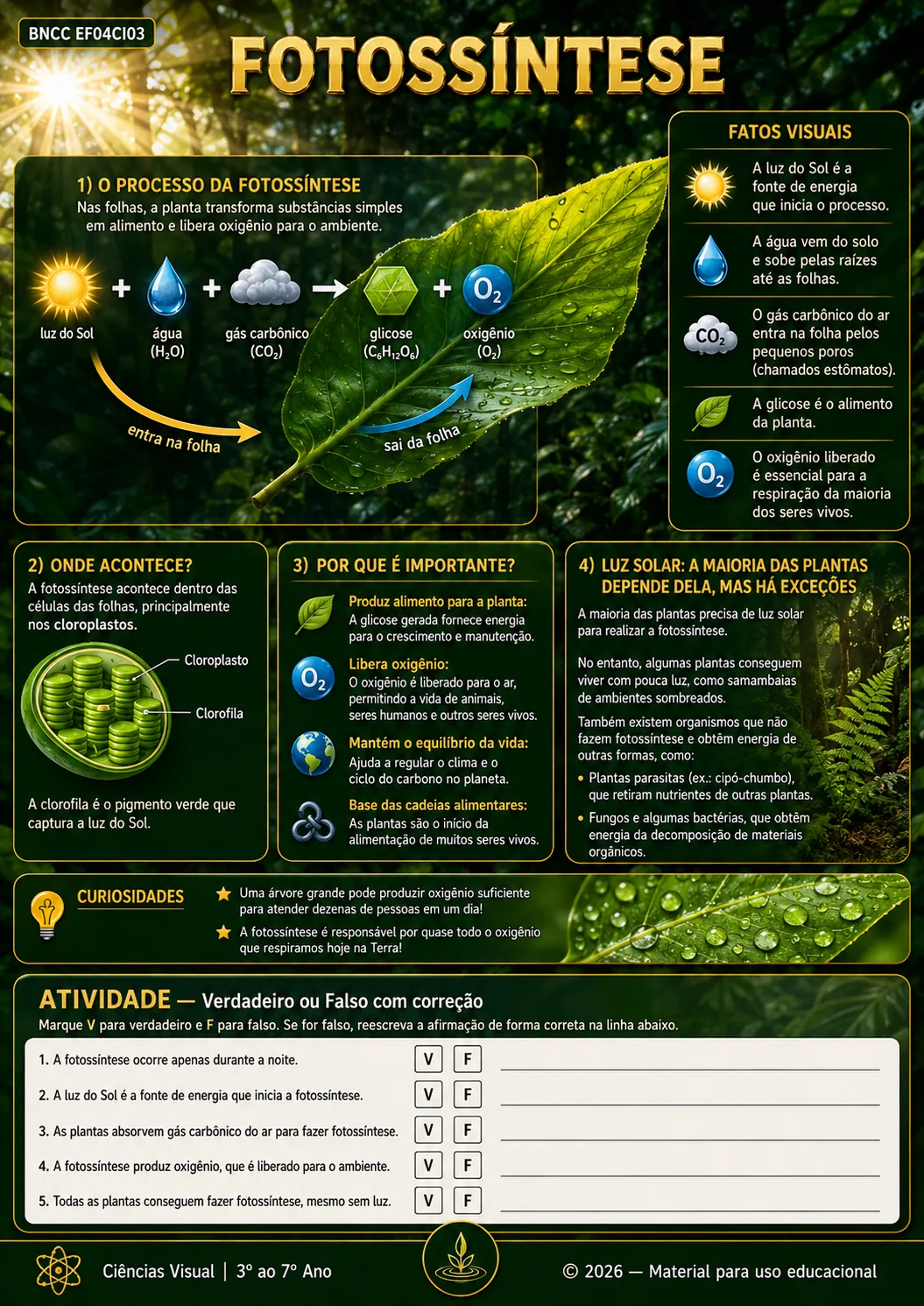 Mapa visual de Ciências: FOTOSSÍNTESE
