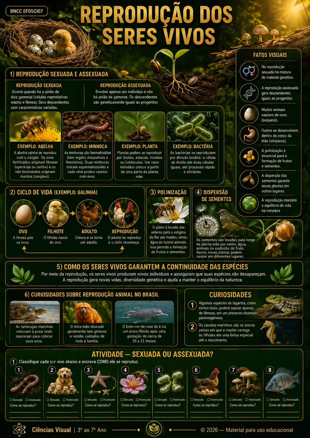 Mapa visual de Ciências: REPRODUÇÃO DOS SERES VIVOS