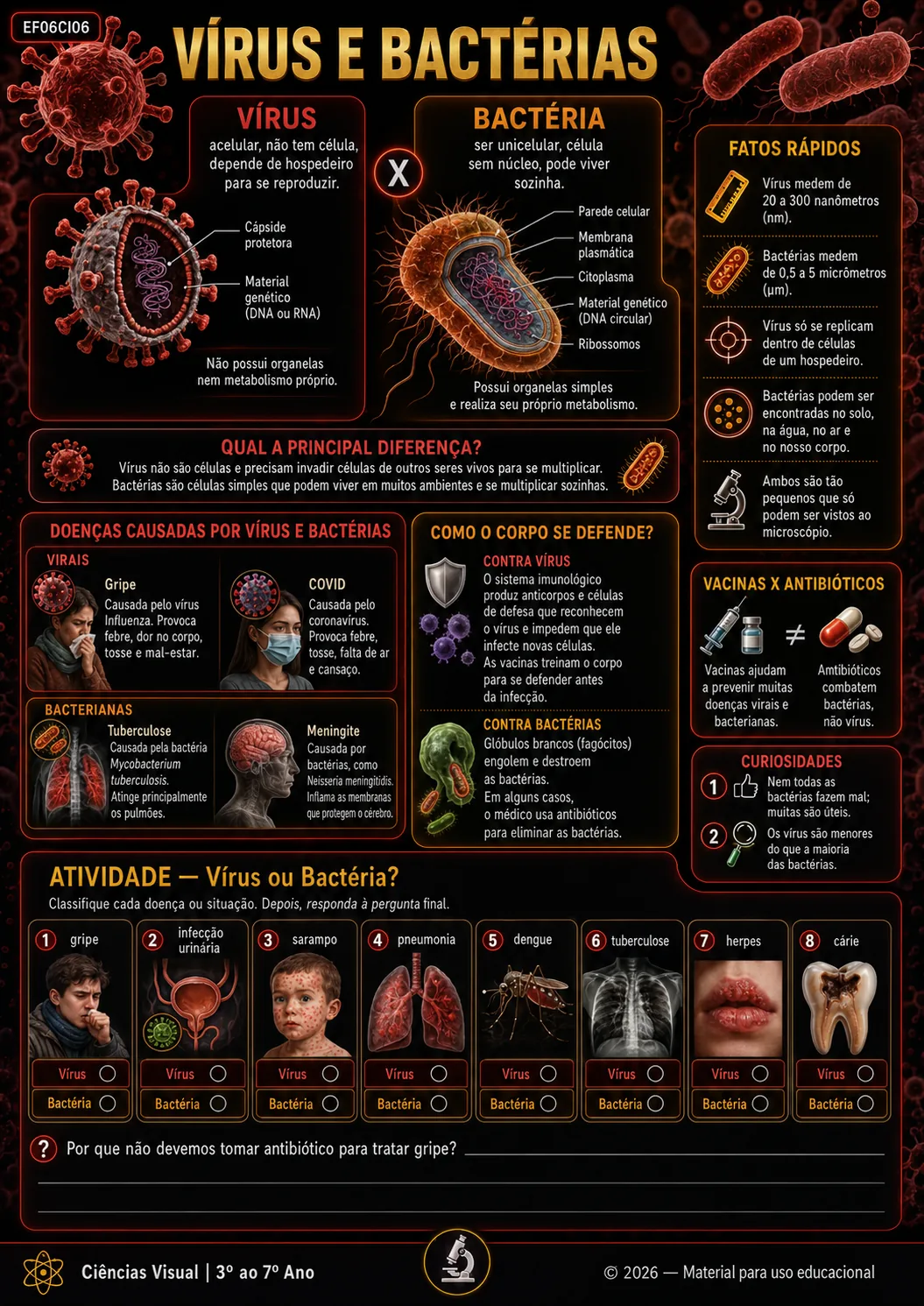 Mapa visual de Ciências: VÍRUS E BACTÉRIAS