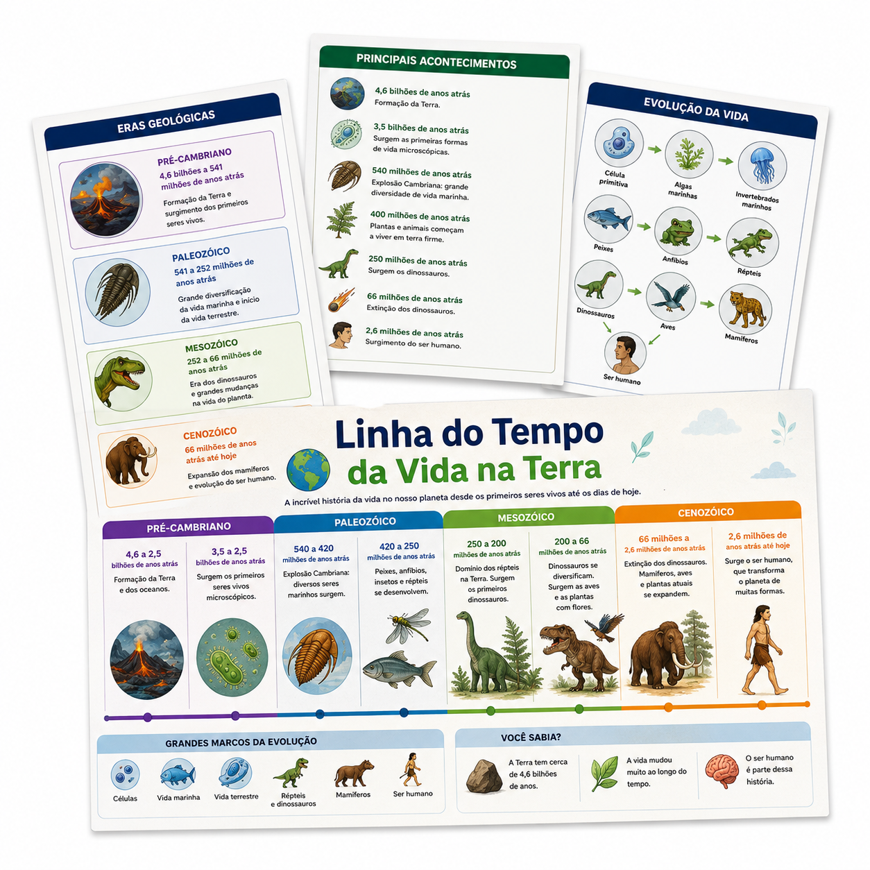 Linha do Tempo da Vida na Terra